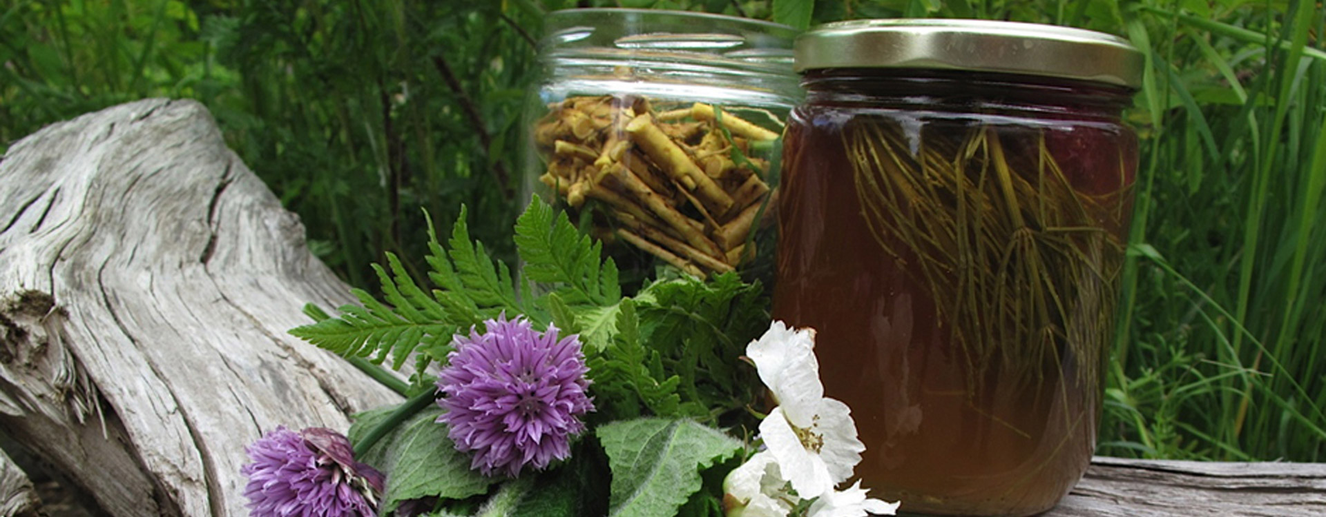 Deeplaid Laboratories Ltd.