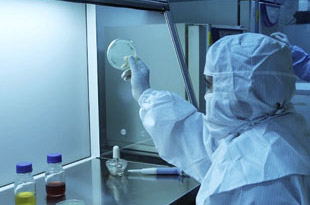 Deeplaid Laboratories Ltd.